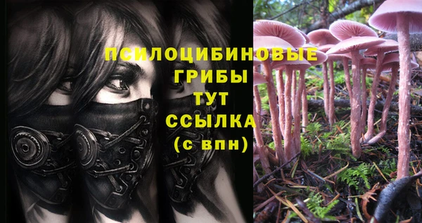 jwh Бородино